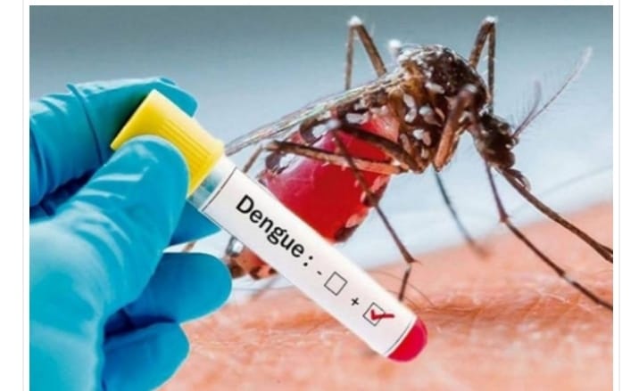 ডেঙ্গুতে একদিনে দেশে রেকর্ড  ১২ জনের মৃত্যু